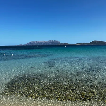 Apartment Ulivo Olbia