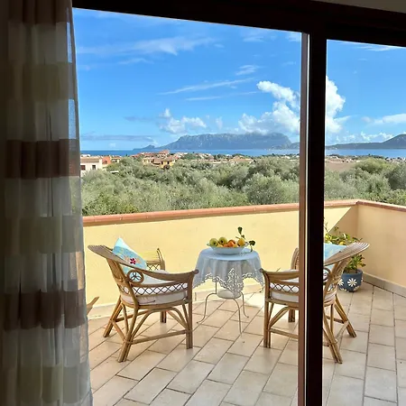 Ulivo Apartament