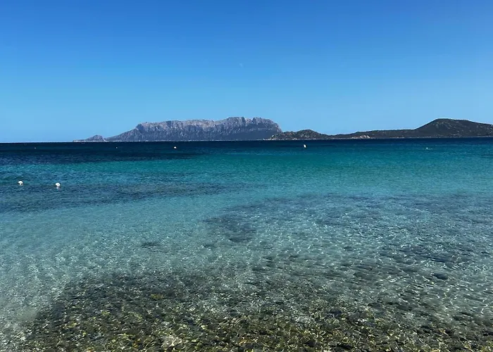 Apartman Ulivo Olbia